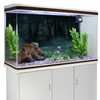 MIRRORANG 61x30cm Dark Scary Aquarium Background Trees Road Mist Horror
