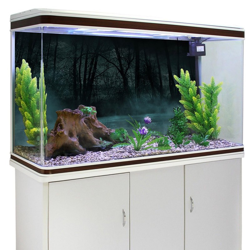 MIRRORANG 61x30cm Dark Scary Aquarium Background Trees Road Mist Horror