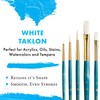 Princeton Real Value, Series 9100, Paint Brush Sets for Acrylic,