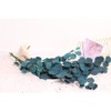 Eucalyptus Dried Flowers Eternal Durability Dried Flowers Bouquet Decoration Home