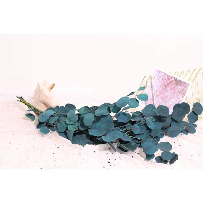 Eucalyptus Dried Flowers Eternal Durability Dried Flowers Bouquet Decoration Home