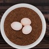 DOITOOL 2 Set Pigeon Egg Nest Pigeon Bird Egg Coconut