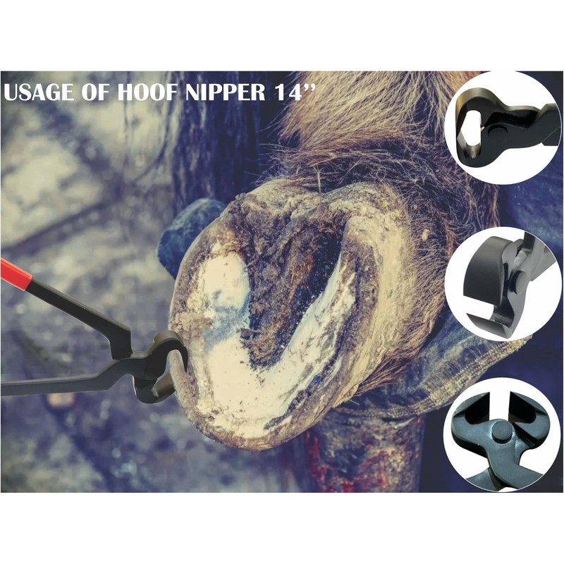 Professional 14" Hoof Nipper with PVC Covered Handle-Heavy-Duty Horse Farrier