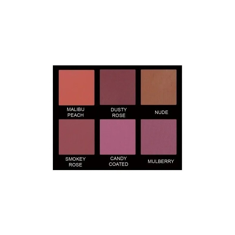 Paleta De Rubores Prolux K-070 Naranja