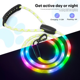 Colaseeme Light Up Dog Leash, 5FT LED Pet Leashes Micro USB Rechargeable, Nylon Glow Safety Dogs Lights at Night (Multi-Color)