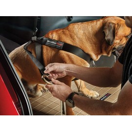 WeatherTech Pet Safety Harness - Keeps Your pet Safe and Secure While on-The-go - X-Large Black (84PH3441BK)