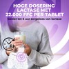 Lactase 22,000 Depot - 365 Tablets with Depot Effect (Sepismart®