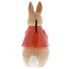 Beatrix Potter Flopsy Money Bank, One Size