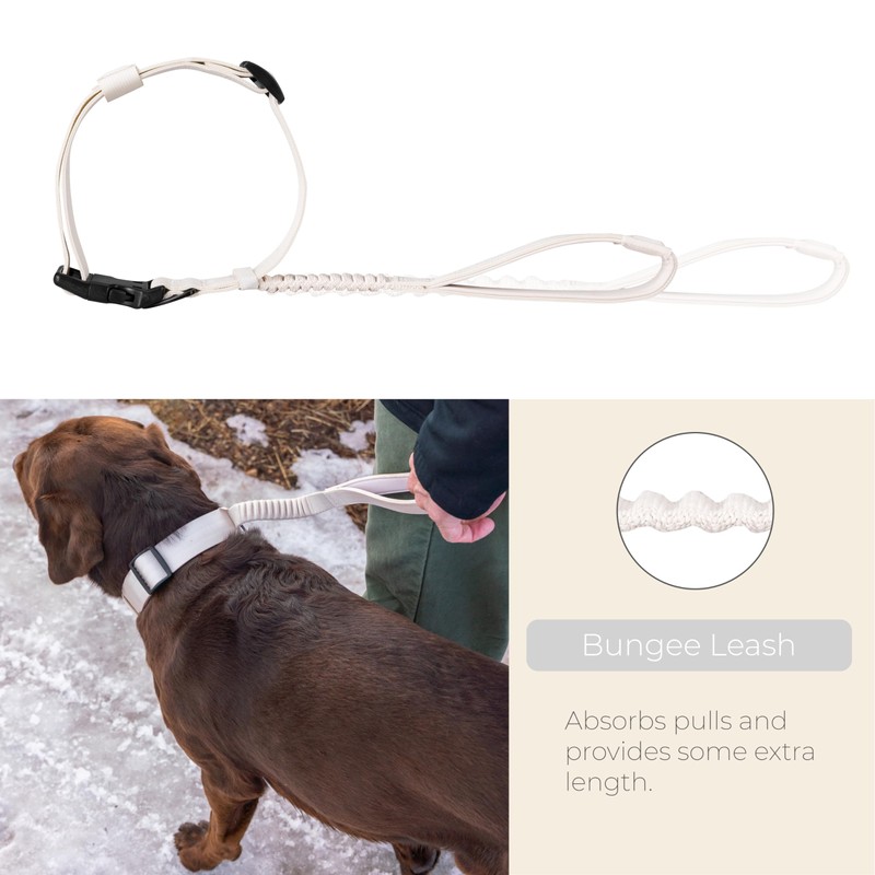 TUG Grab Collar | Integrated Traffic Leash Magnetically Attached for