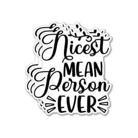 (3PCS) Nicest Mean Person Ever Style 5 Sticker for Phone Tablet Laptop Car Truck Window | 2" Sticker |