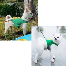 MQQYLBHDS Dinosaur Shaped Puppy Dog Harness and Leash Set Green Cat Vest Harness with Walking Rope No Pull Comfort Pet Vest (Dinosaur, Medium)