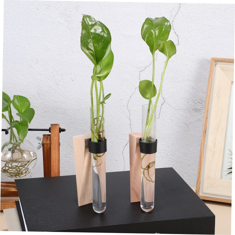 Ciieeo 2Sets Hanging Plant Propagation Containers Hydroponics Test Tubes for