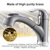 Kitchen Faucet with Sprayer, Brushed Nickel Kitchen Sink Faucet with