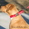 If It Barks - 1.5" Martingale Collar for Dogs -