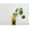 KINTO 26058 SACCO Glass 03 Flower Base, Gray, W 2.8
