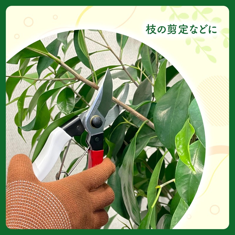 Takagi Midorien Stainless Steel Pruning Shears 7.9 inches (200 mm)