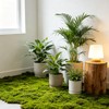 MAISONRINA 10.6OZ Fake Green Moss for Planters Outdoor Indoor Decorating