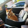 Dog Car Seat for Small Dogs,2 Adjustable Safety Puppies Leashes,Memory