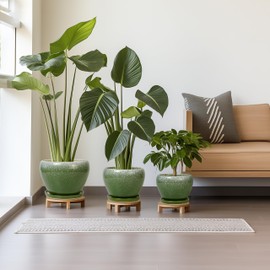 EPFamily Ceramic Pots for Plants, 10+8+6 Inch Round Decorative Planters for Indoor Outdoor with Drainage Holes and Saucers, Office Garden Room Patio Decor, Gifts for Plant Lovers, Set of 3, Green