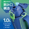Thermos FHT-1002F BLGR Vacuum Insulated Sports Bottle, 0.3 gal (1