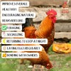 Pampered Chicken Mama Pampered Chicken Mama Backyard Chicken Supplement Treat: