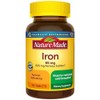 Nature Made Iron 65 mg (from Ferrous Sulfate) Tablets for