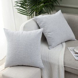 Jepeak Decorative Throw Pillow Covers Cushion Cases Pack of 2 Chenille Cozy Concise Pillow Covers for Sofa Couch Home Decoration, Gainsboro 22 x 22 Inch
