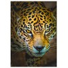 Jaguar Fine Art Birthday Greeting Card. (Inside Reads: Happy Birthday!)