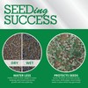 Greenview Fairway Formula Seeding Success (18 lb.) Fertilizer