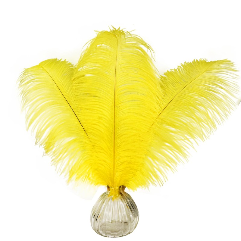 Happy Feather 16-18 inch Yellow Ostrich Feathers Craft for Wedding