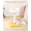 Happi N Pets Cloud Cat Tree, Cat Scratching Post with