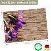 Placemats - Spring and Easter - Crocuses on Wood -