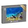 puzzleYOU: Puzzle 500 Piece Underwater World with Coral and Tropical