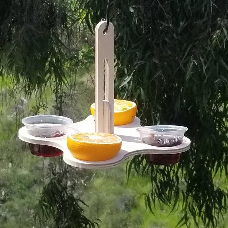 Daiilg Oriole Bird Feeders for Outdoors, Jelly and Oranges Bird