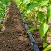 Hydrogarden Ground Pegs for Irrigation System, Ground Anchors Pegs for