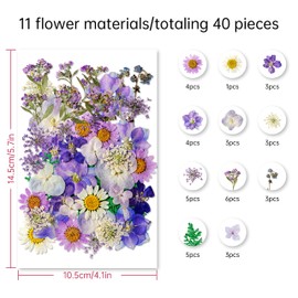 Dried Flowers, Kaluofan 40PCS Real Pressed Flowers, Dried Flowers for Resin, Dried Flowers for Crafts, for Bookmark Resin Scrapbooking Jewelry Crafts Making, Candle and Nails Decoration