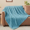 BEDELITE Fluffy Fleece Throw Blanket - Light Blue Sofa Throw