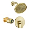 Tohlar Gold Shower Faucet, Single-Handle Shower Faucet Set with 6