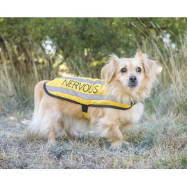 NERVOUS (Give Me Space) Yellow Colour Coded S M L Reflective Waterproof Fleece Lined Warm Dog Coats PREVENTS Accidents By Warning Others Of Your Dog In Advance (S)