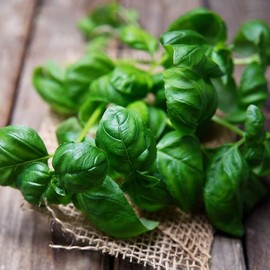 Eden Brothers Basil Seeds - Sweet Basil (Common) Non-GMO Seeds for Planting, 5 Pounds | Low-Maintenance Herb Seeds, Plant During Spring Season, Zones 10, 3, 4, 5, 6, 7, 8, 9