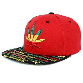 Trendy Apparel Shop Rasta Marihuana Leaf Weed 3D bordado plano Bill Gorra Snapback, Rasta roja, Talla única