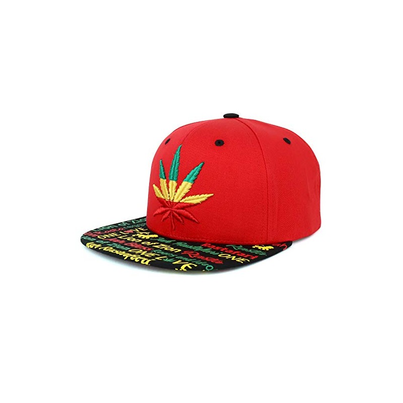 Trendy Apparel Shop Rasta Marihuana Leaf Weed 3D bordado plano