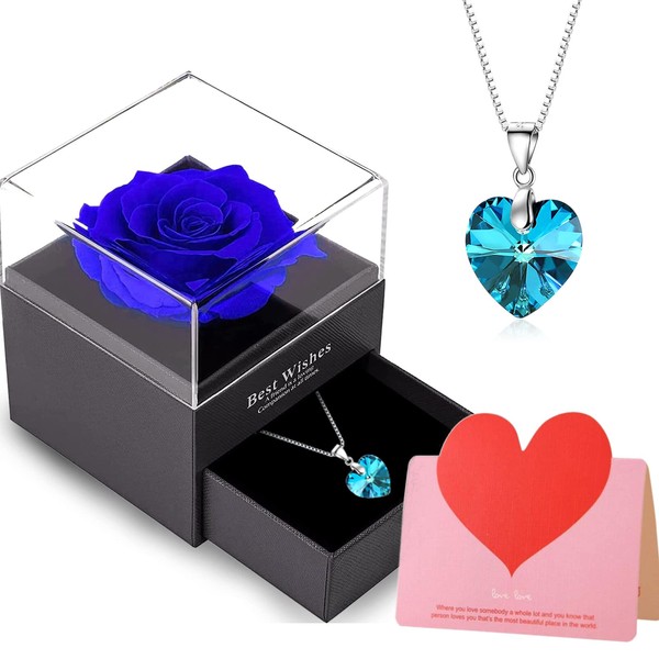 Willuck Eternal Rose, Eternal Rose with Necklace, Eternal Rose Gift Box, Real Eternal Rose with Ruby Pendant Silver 925 Women, Valentine's Day Mother's Day, Anniversary Wedding for Her, Stone Crystal