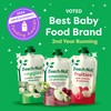 Beech-Nut Baby & Toddler Food Pouches Variety Pack, Protein &