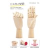 October 1st Drawing Doll Model Doll Wooden Doll Hand Right