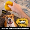 WoofBite Indestructible Dog Ball - Lifetime Replacement - Durable Dog