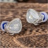 Linsoul TANGZU Wan'er S.G II in Ear Monitor, HiFi Wired