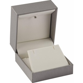 Bonyak Jewelry LED Silver Earring/Pendant Box w/Reversible Insert Glorious