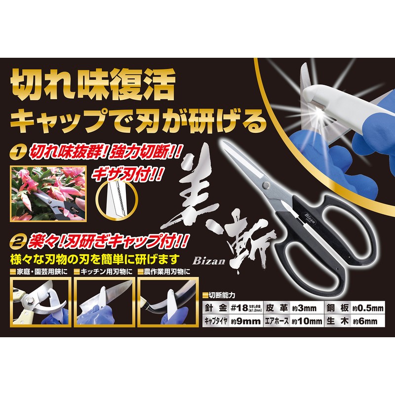 Beauty Is All Purpose Scissor Giza blade with Blade Sharpener
