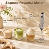 Milk Frother Handheld, Electric Milk Foamer with 2 Whisks &